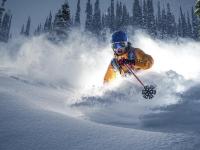 FB体育网页版-赛道与球场，当F1争冠焦点遇上骑士鹈鹕鏖战