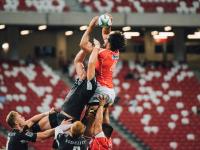 FB体育网页版-奥运周期关键战之夜，伊布带动全队节奏，铸就不可复制的传奇