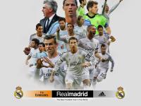 FB体育在线-F1街道赛之夜，阿尔瓦雷斯，大场面先生的封神之战