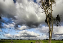 FB体育赛事-德甲奇幻夜：利物浦空降战勇士，爆冷败北点燃球迷怒火火山