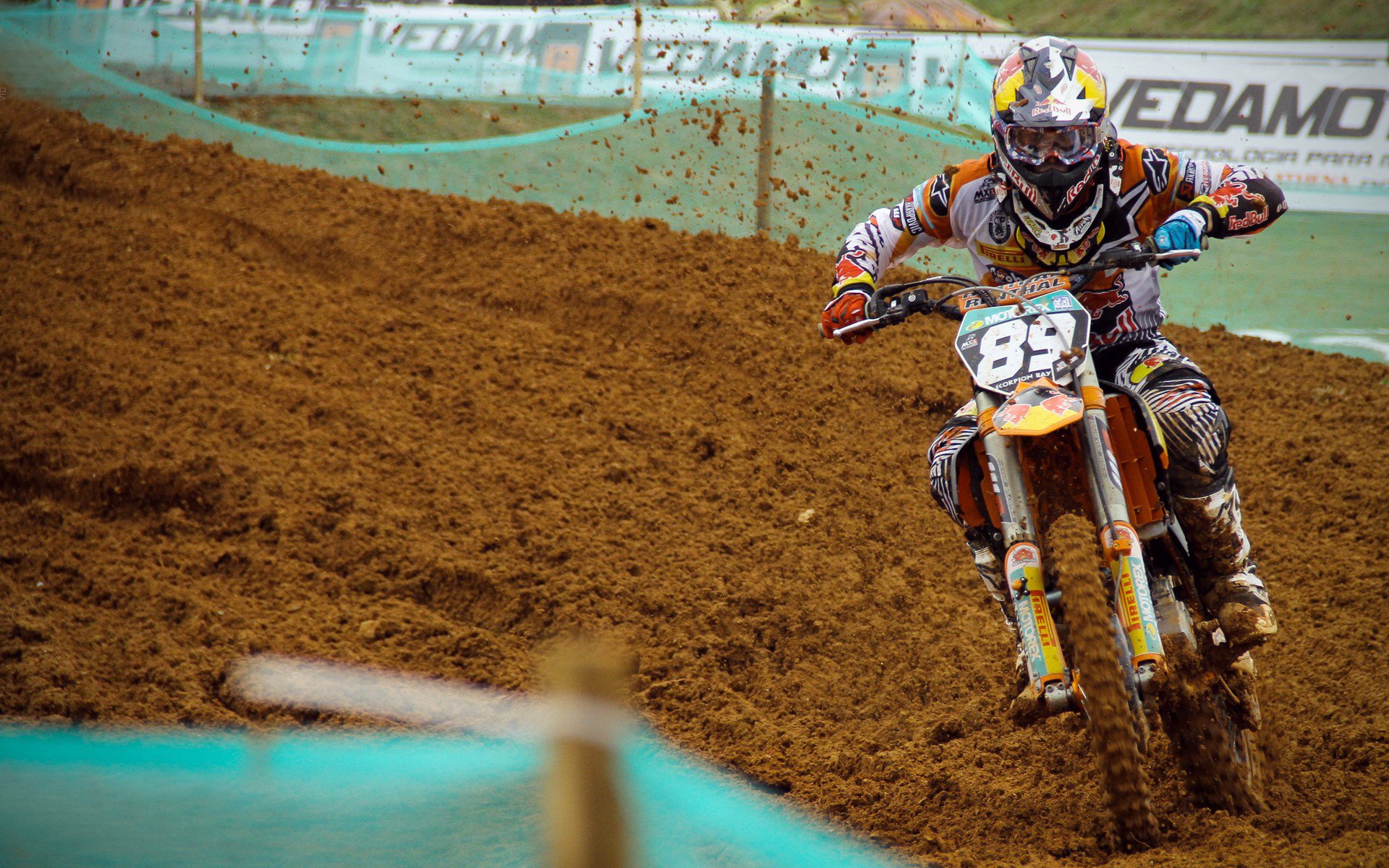 跨界传奇,从灰熊翻盘到德甲争冠,霍勒迪的双重赛场奇迹