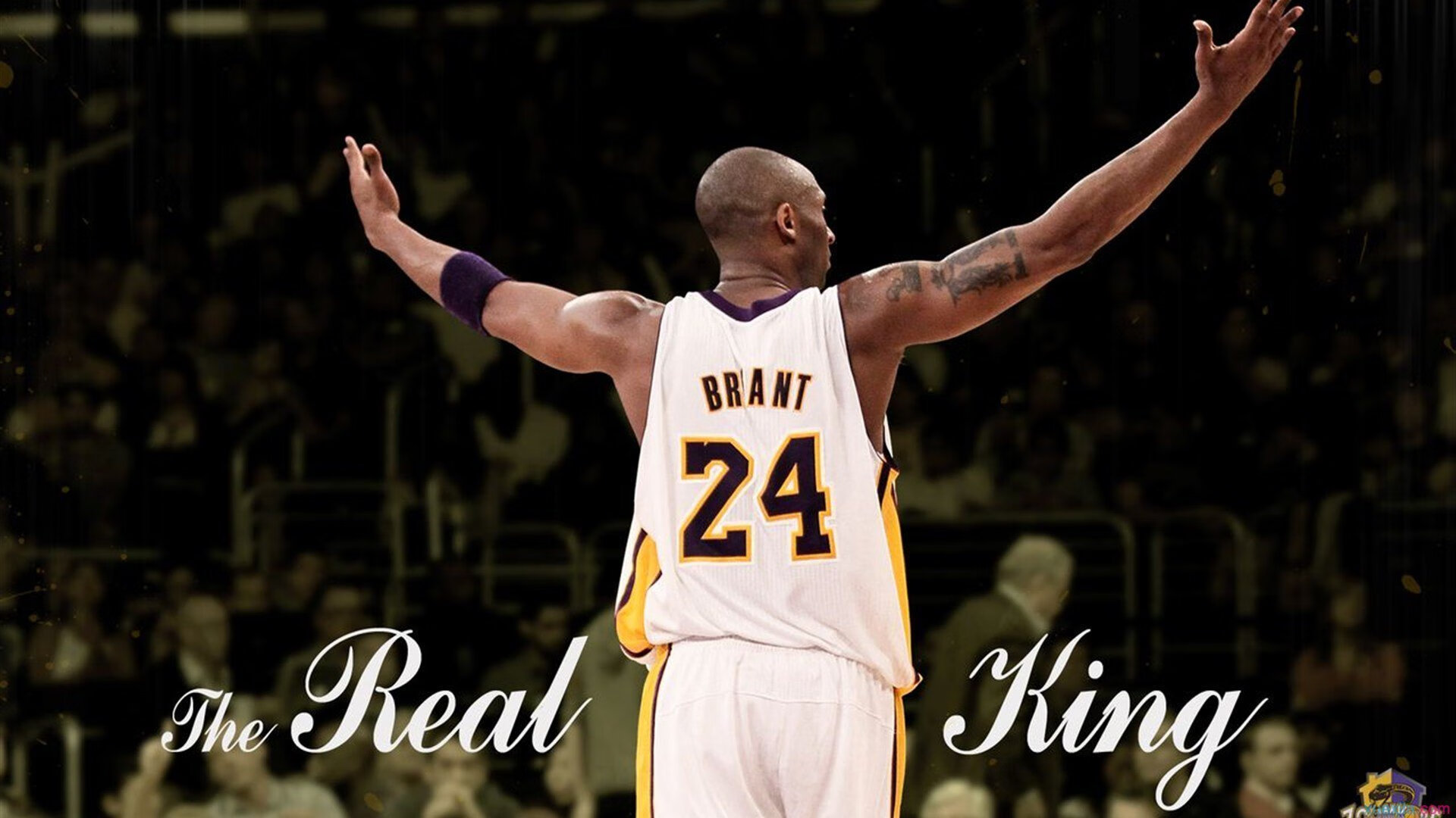 年度焦点之战,快船险胜北京队,一场跨越太平洋的篮球对话